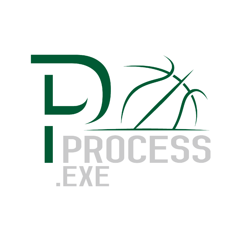 PROCESS.EXE